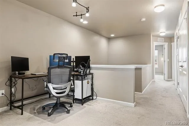 11733 Crestop Way #B Parker, CO 80138