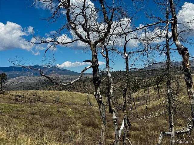 Lot 7712 Hallstein Road Fort Garland, CO 81133