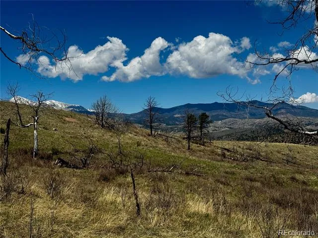 Lot 7712 Hallstein Road Fort Garland, CO 81133