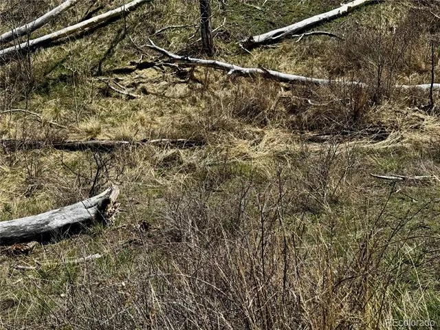 Lot 7712 Hallstein Road Fort Garland, CO 81133
