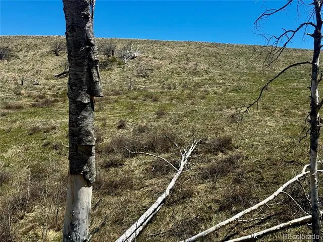 Lot 7712 Hallstein Road Fort Garland, CO 81133