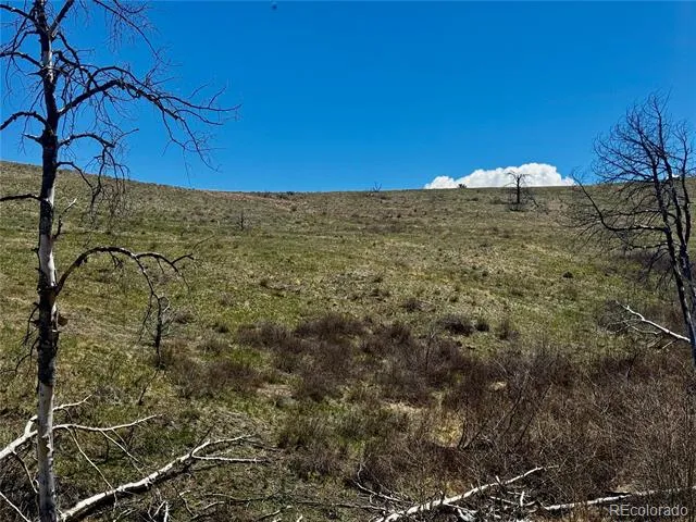 Lot 7712 Hallstein Road Fort Garland, CO 81133