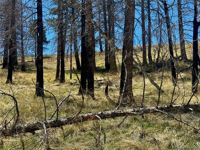 Lot 7712 Hallstein Road Fort Garland, CO 81133