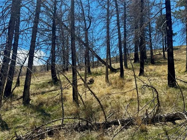 Lot 7712 Hallstein Road Fort Garland, CO 81133