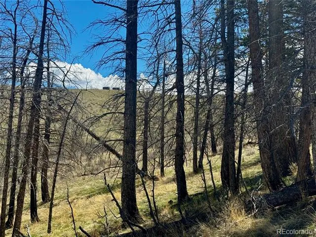Lot 7712 Hallstein Road Fort Garland, CO 81133