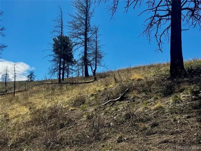 Lot 7712 Hallstein Road Fort Garland, CO 81133