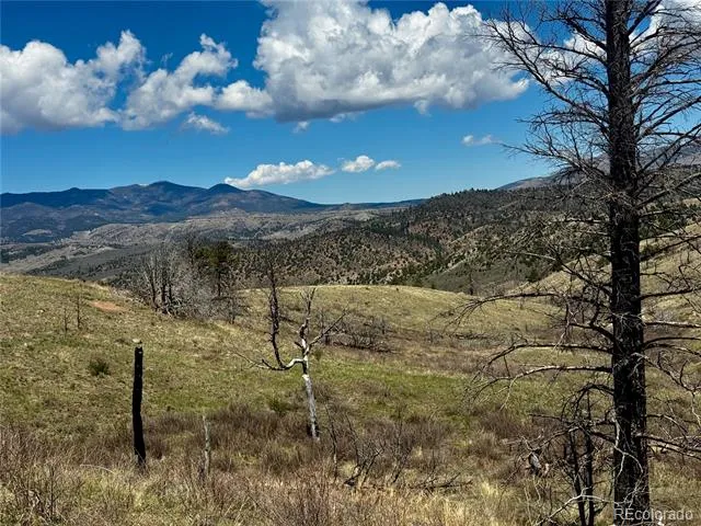 Lot 7712 Hallstein Road Fort Garland, CO 81133