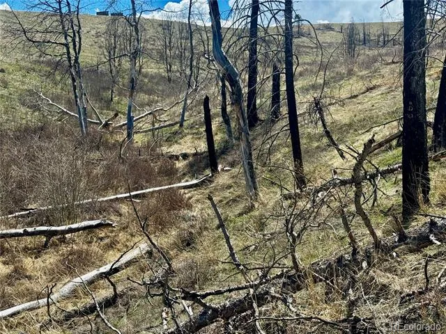 Lot 7712 Hallstein Road Fort Garland, CO 81133