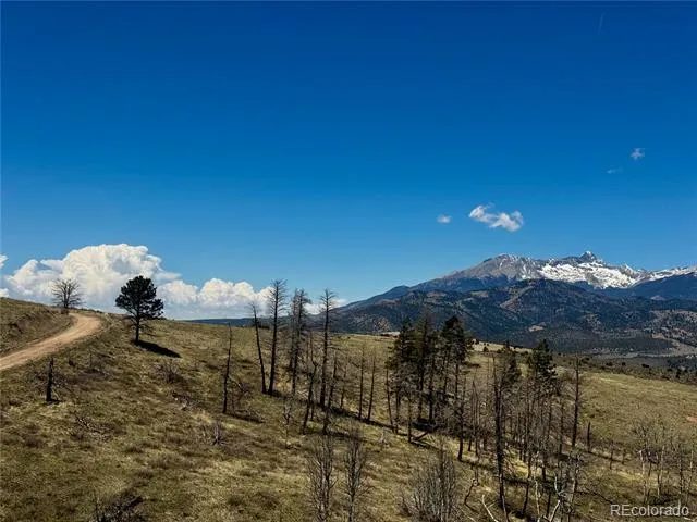 Lot 7712 Hallstein Road Fort Garland, CO 81133