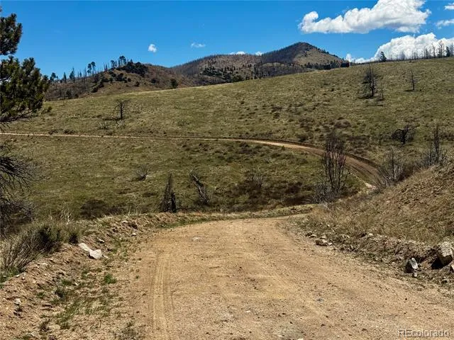 Lot 7712 Hallstein Road Fort Garland, CO 81133