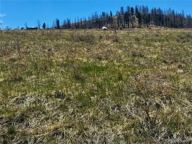 Lot 7712 Hallstein Road Fort Garland, CO 81133