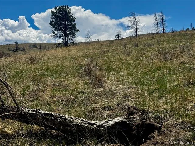 Lot 7712 Hallstein Road Fort Garland, CO 81133
