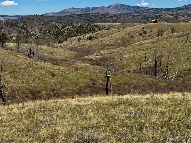 Lot 7712 Hallstein Road Fort Garland, CO 81133
