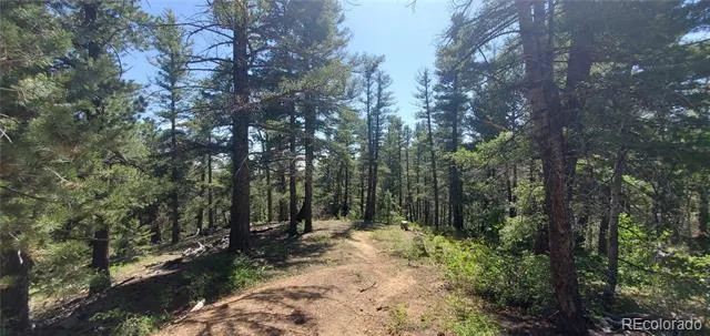 Lot 6764 Kerrigan Road Fort Garland, CO 81133