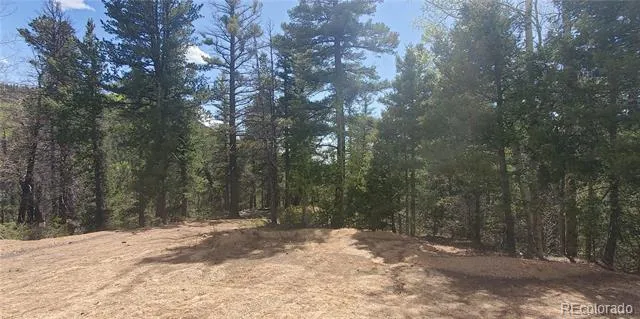 Lot 6764 Kerrigan Road Fort Garland, CO 81133
