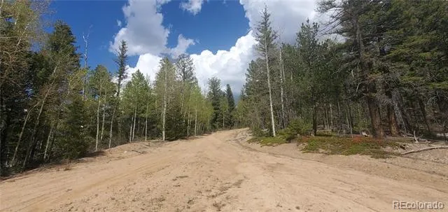 Lot 6764 Kerrigan Road Fort Garland, CO 81133