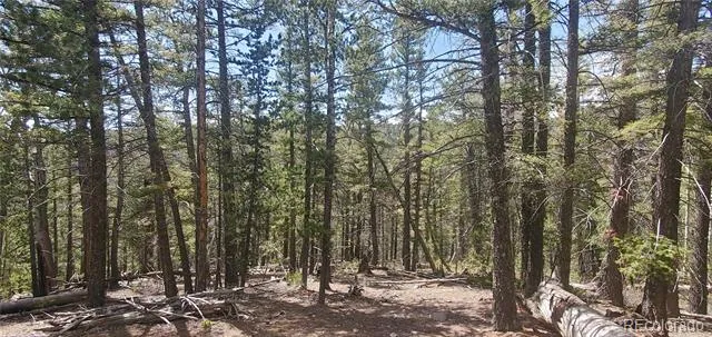 Lot 6764 Kerrigan Road Fort Garland, CO 81133