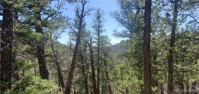 Lot 6764 Kerrigan Road Fort Garland, CO 81133