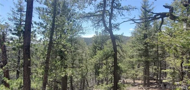 Lot 6764 Kerrigan Road Fort Garland, CO 81133
