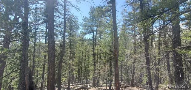 Lot 6764 Kerrigan Road Fort Garland, CO 81133