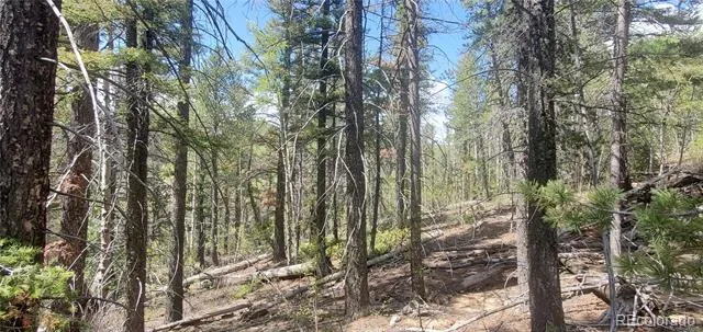 Lot 6764 Kerrigan Road Fort Garland, CO 81133