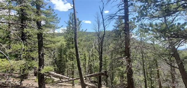 Lot 6764 Kerrigan Road Fort Garland, CO 81133
