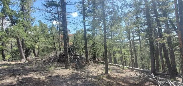 Lot 6764 Kerrigan Road Fort Garland, CO 81133