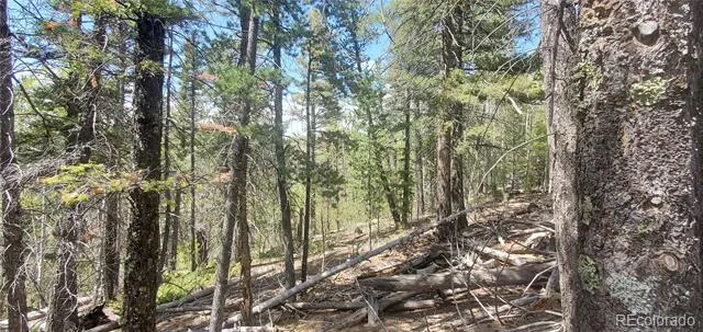 Lot 6764 Kerrigan Road Fort Garland, CO 81133