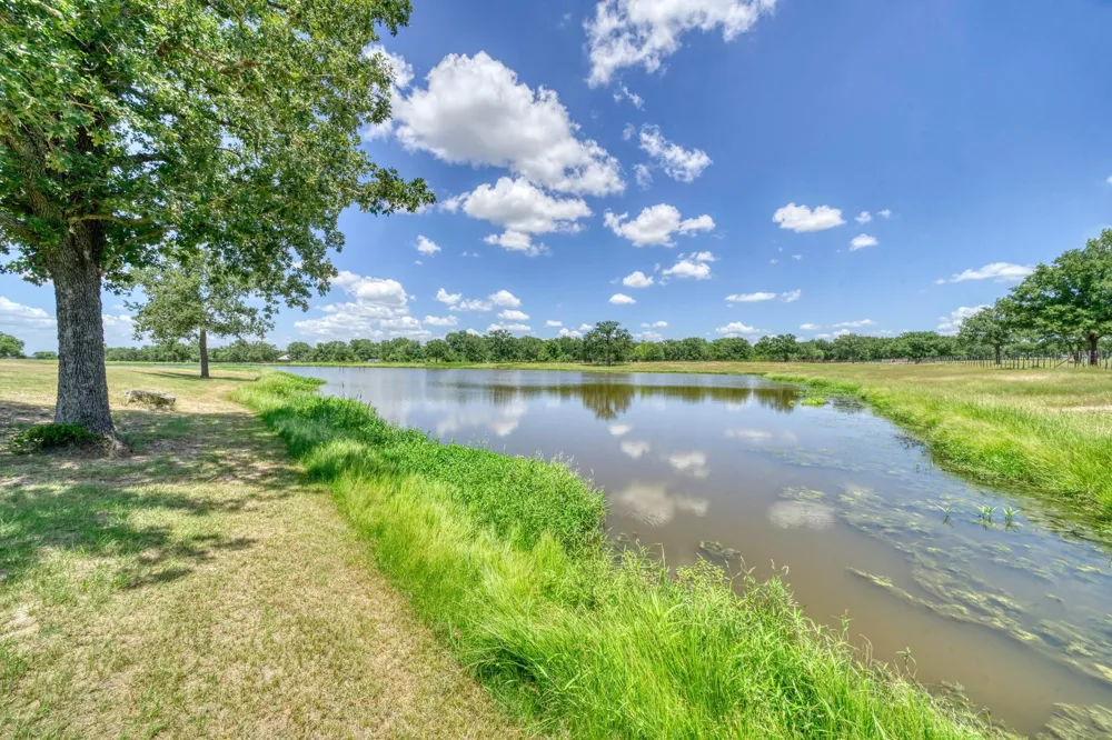 16316 County Road 436 Somerville, TX 77879