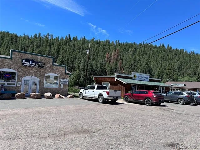 5720 County Road 64 #A202 Bailey, CO 80421