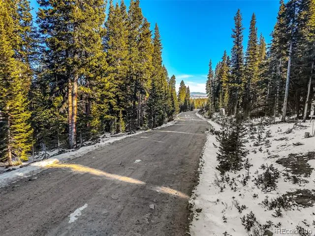 343 Sunshine Drive Fairplay, CO 80440