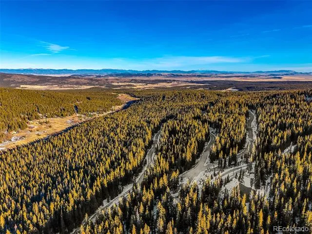 343 Sunshine Drive Fairplay, CO 80440