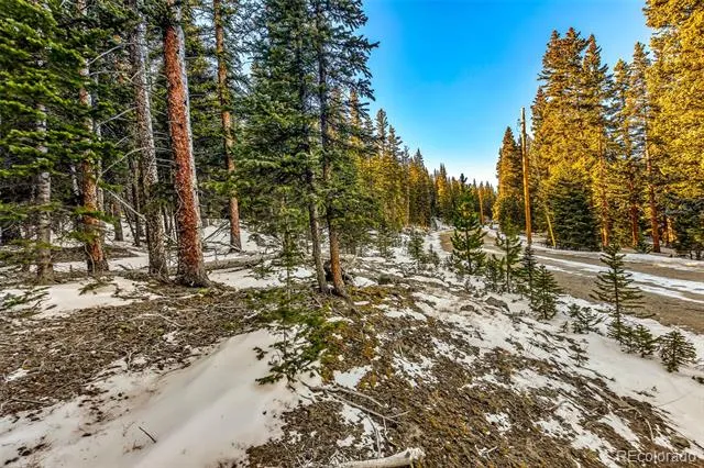 343 Sunshine Drive Fairplay, CO 80440