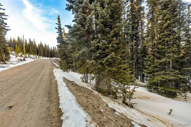 343 Sunshine Drive Fairplay, CO 80440