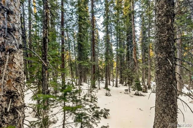 343 Sunshine Drive Fairplay, CO 80440
