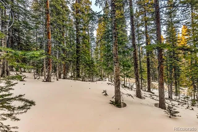 343 Sunshine Drive Fairplay, CO 80440