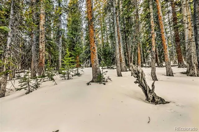 343 Sunshine Drive Fairplay, CO 80440