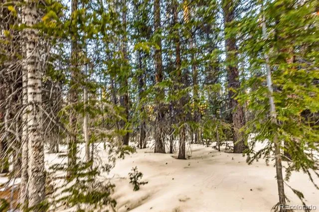 343 Sunshine Drive Fairplay, CO 80440