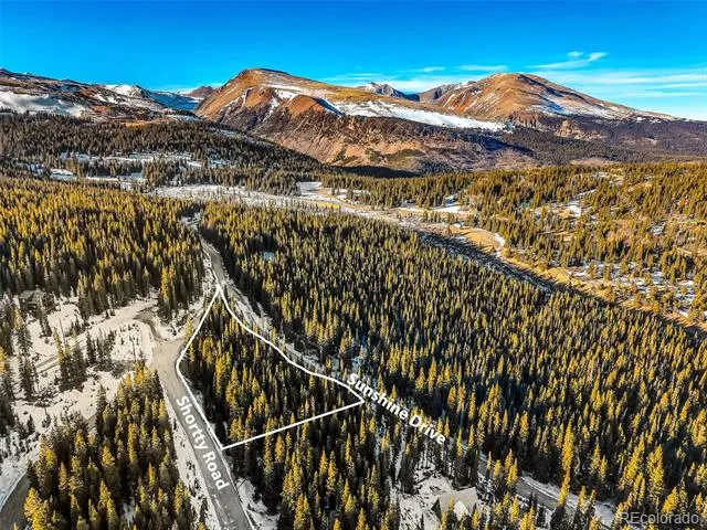 343 Sunshine Drive Fairplay, CO 80440