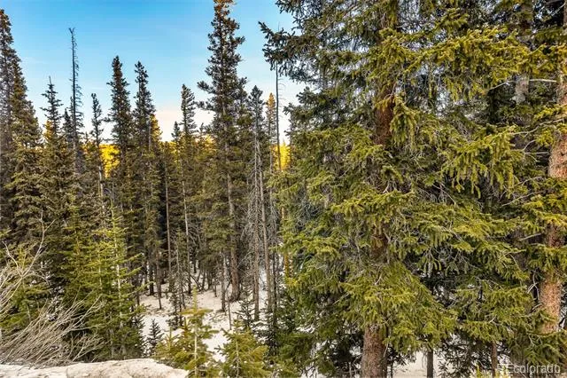 343 Sunshine Drive Fairplay, CO 80440