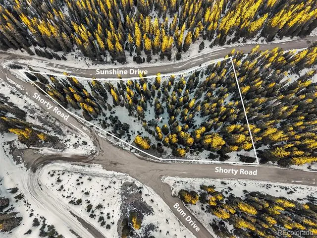 343 Sunshine Drive Fairplay, CO 80440