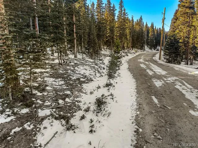343 Sunshine Drive Fairplay, CO 80440