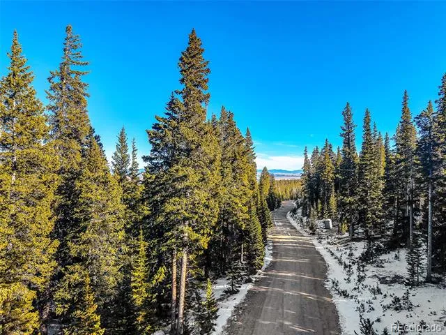 343 Sunshine Drive Fairplay, CO 80440