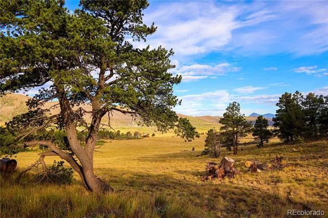 2113 Packer Place Fort Garland, CO 81133