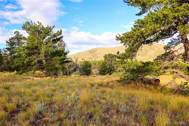 2113 Packer Place Fort Garland, CO 81133