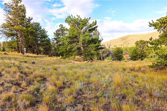 2113 Packer Place Fort Garland, CO 81133