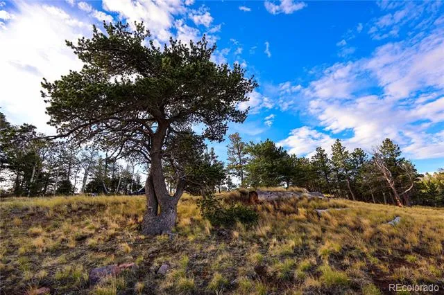 2113 Packer Place Fort Garland, CO 81133