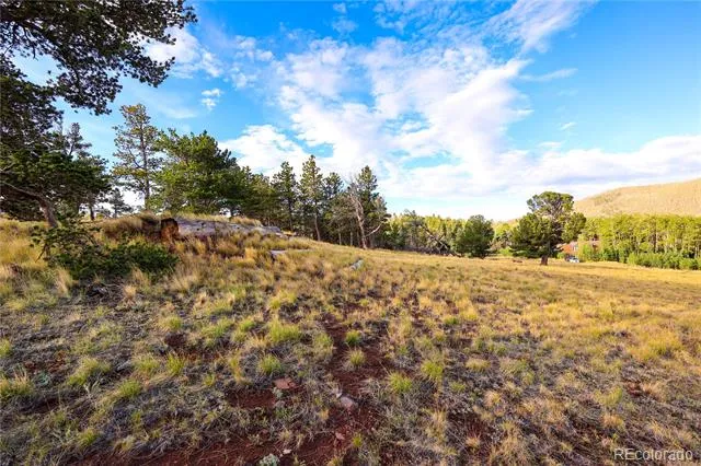 2113 Packer Place Fort Garland, CO 81133