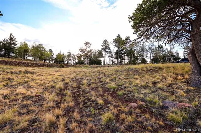 2113 Packer Place Fort Garland, CO 81133