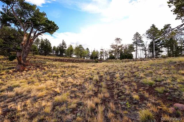 2113 Packer Place Fort Garland, CO 81133